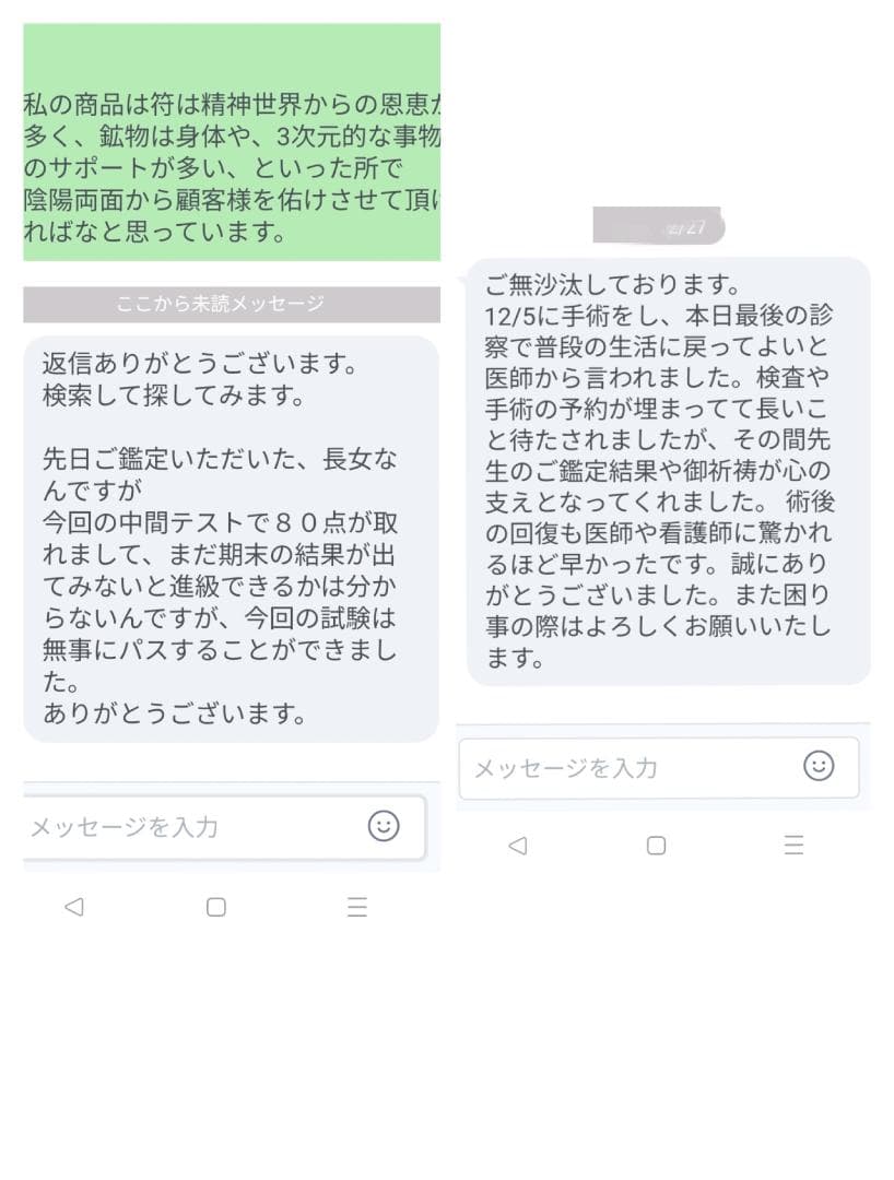 人形代手書き☯諸生靈祟悩病難除御秘符[BT5A]