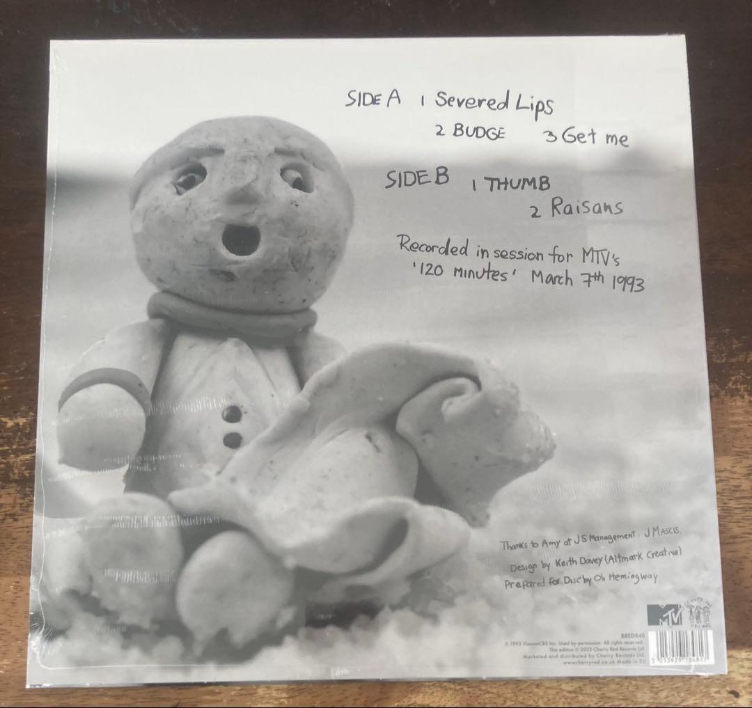 ◾️新品+極美盤２枚まとめて◾️DINOSAUR JR / ダイナソーJR◾️限定ライ