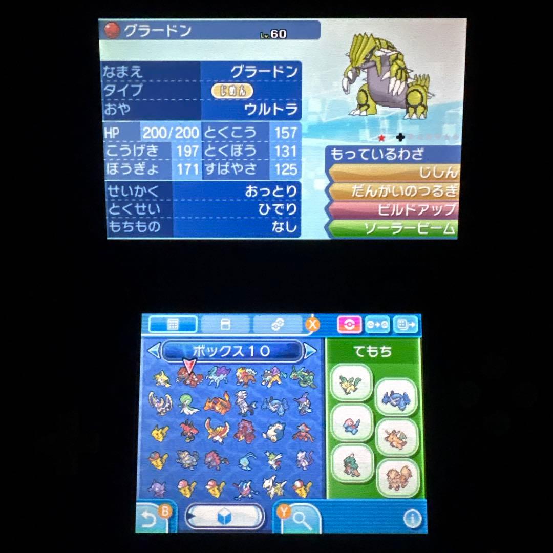 シ*佐様 配布ポケモン多数所持　ポケットモンスター ムーン