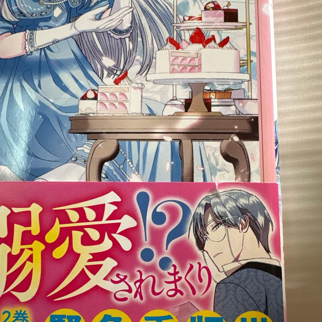 【匿名配送】お父さん、私この結婚イヤです! 1～10巻(6～10巻特装版)セット