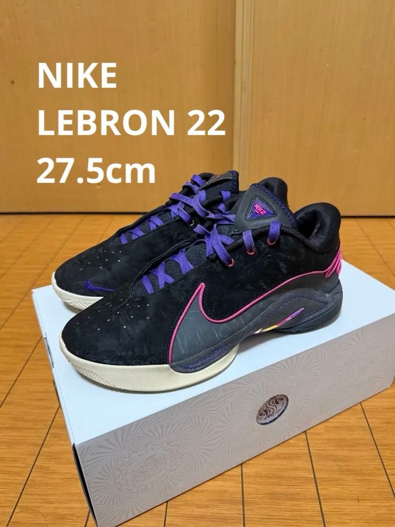 シューズ(男性用) Nike Lebron22 EP