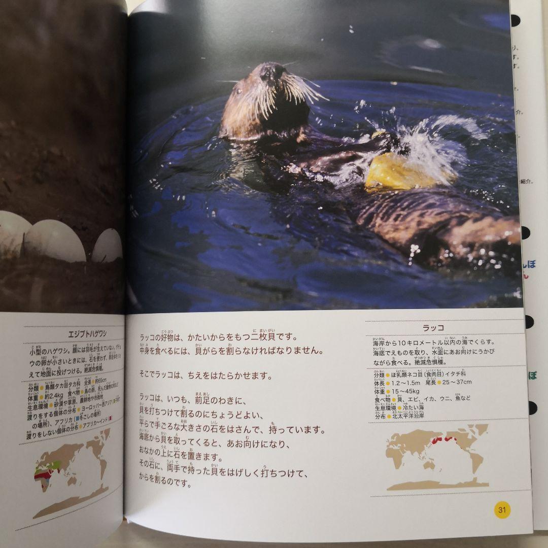 動物のちえ　全5冊セット