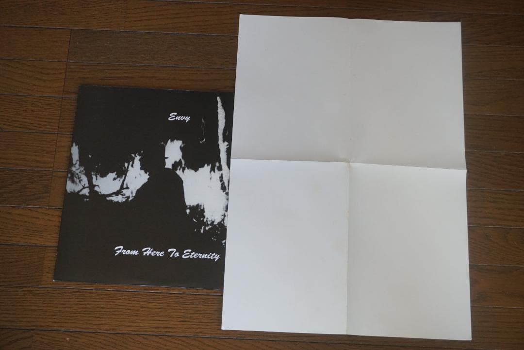 A*9様 ENVY/エンヴィー 　アナログレコード２枚セット