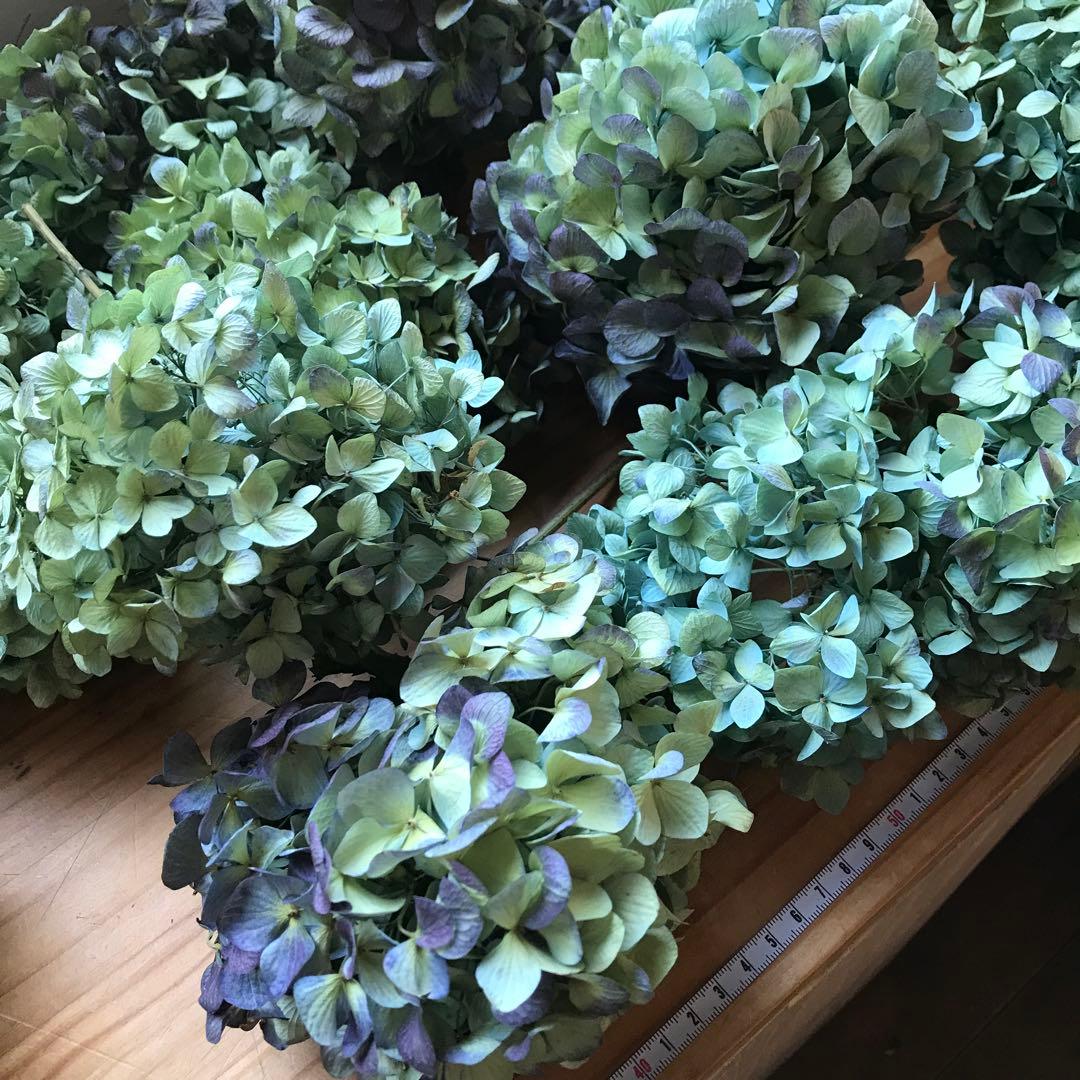 紫陽花ドライフラワー 平置き80cm×45cm E6