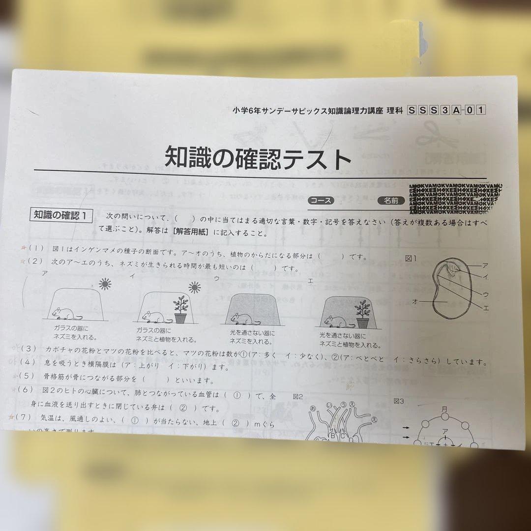 早い者勝ち！2023年度小学6年 単科講座 理科 Sunday Sapix