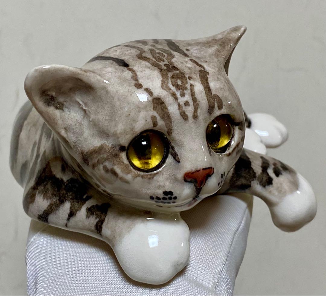 ウィンスタンレイキャット　ケンジントンキャット　ベンガル猫　貫入無し　サイズ2