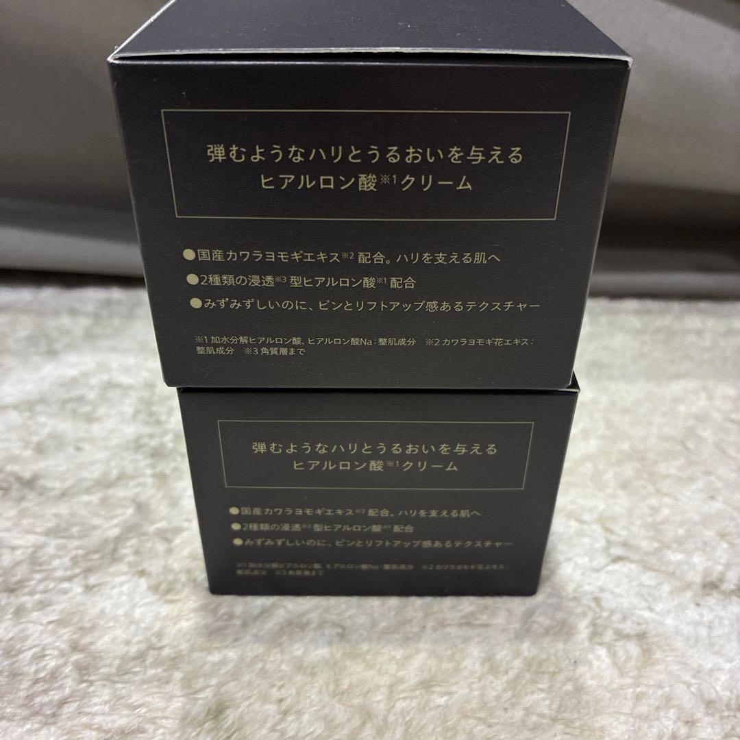 Norganic Vieヒアルアップ リフトクリーム 47g2個セット(b28)