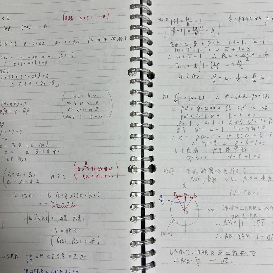 駿台　数学ZS