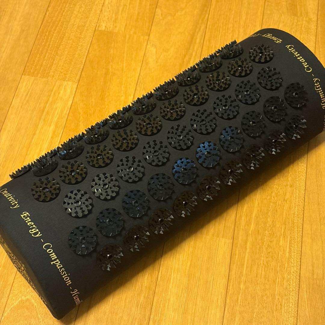 【超美品】シャクティマット 枕のみ レベル2 Shakti Mat 黒