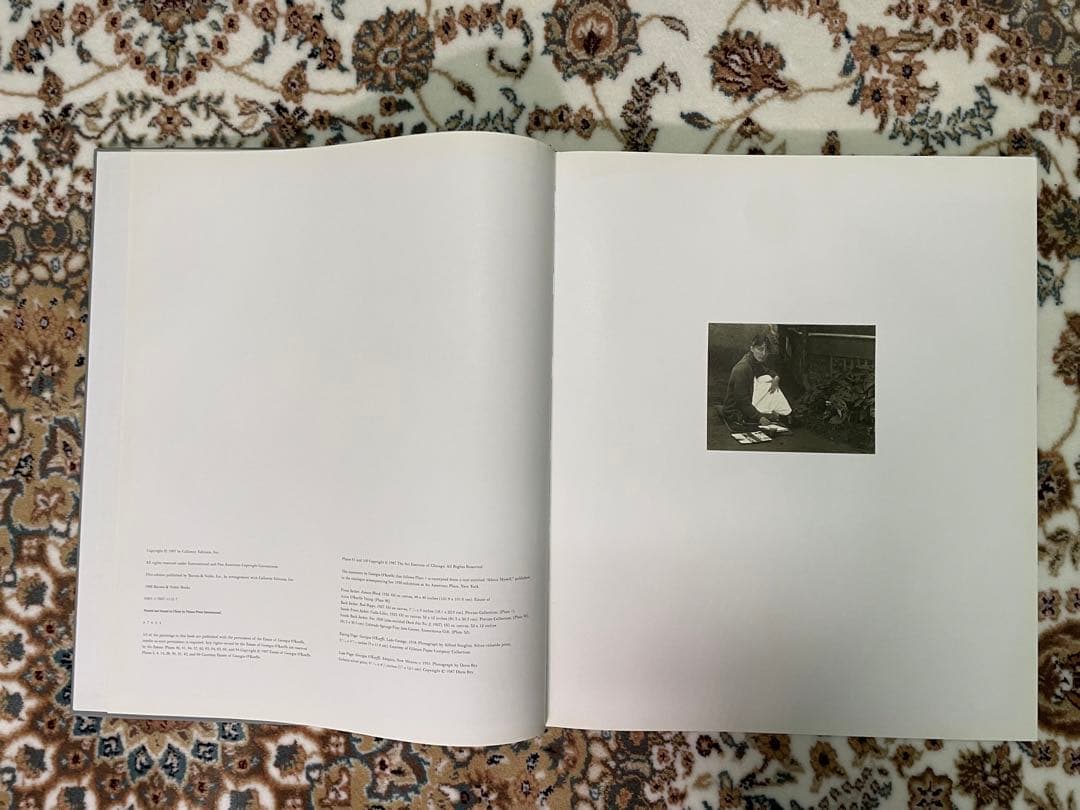アート・デザイン・音楽 ia O' Keeffe One Hundred Flowers