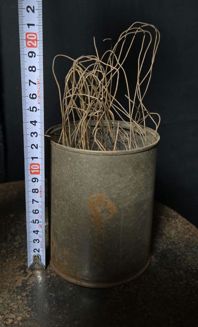 錆びた缶に錆びた針金？をわしゃわしゃっと入れた前衛的なオブジェ小物骨董市古物