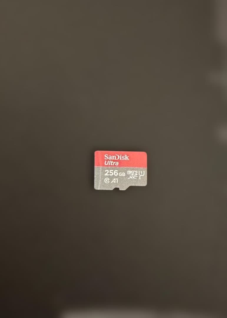 【micro sdカード付き】Nintendo Switch Lite 本体