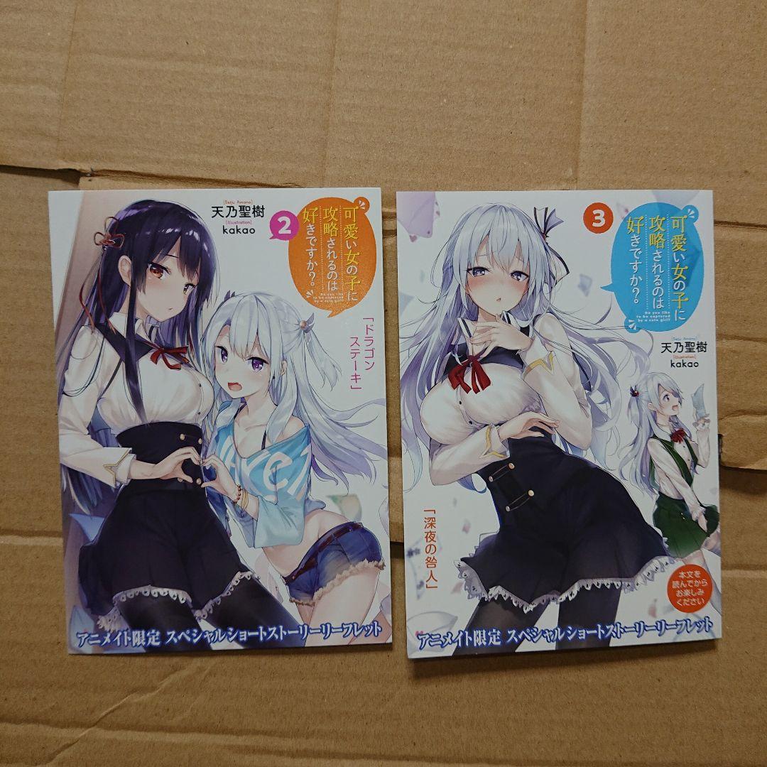 可愛い女の子に攻略されるのは好きですか? 一部店舗特典セット1