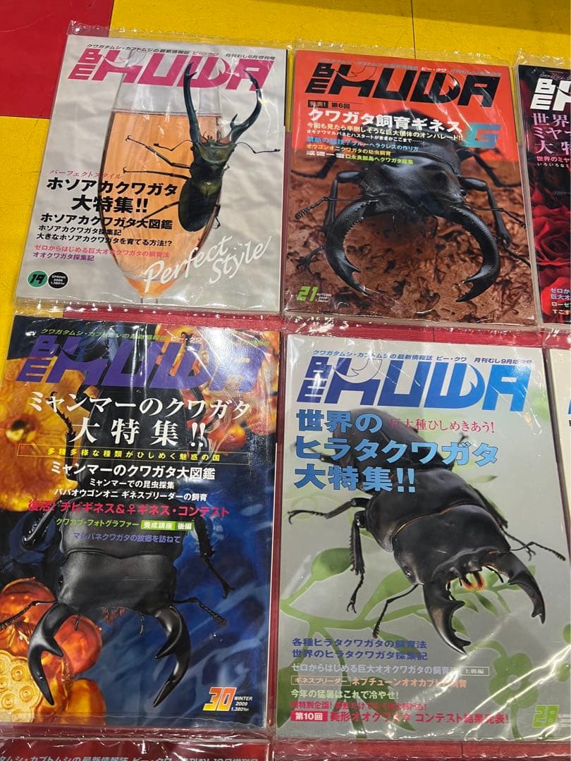 BEKUWA11冊