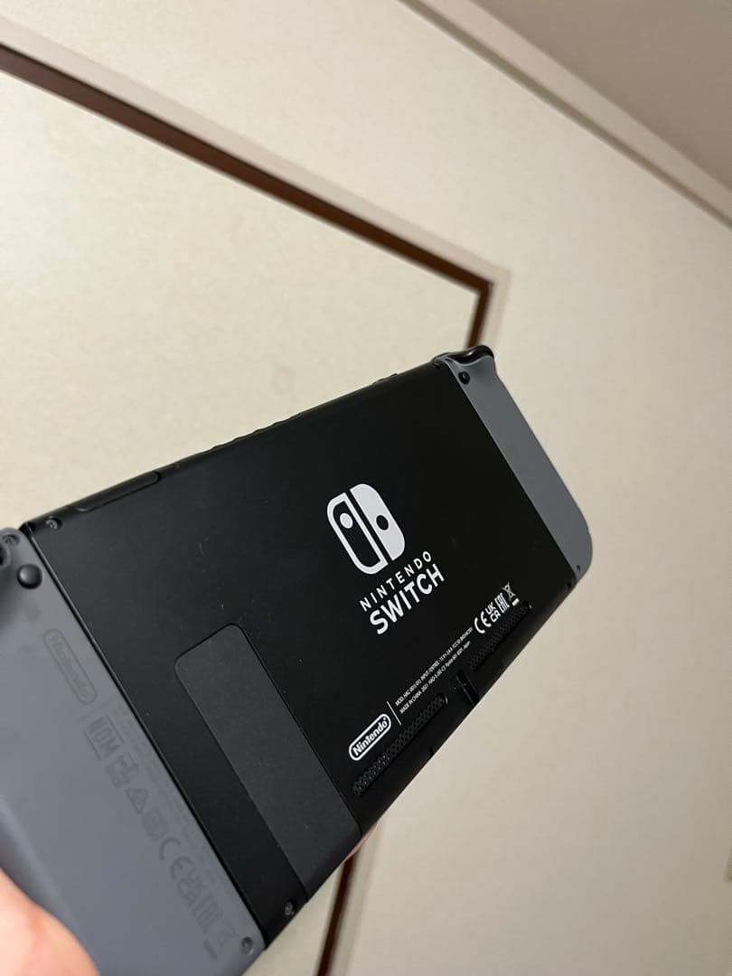 Nintendo Switch グレー 本体セット
