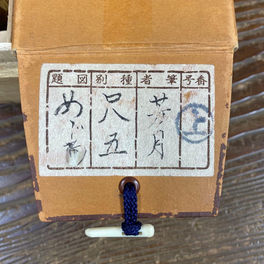 美品 掛け軸 芳月作 檪に目白図 共箱 花鳥 秋草 秋掛け どんぐり