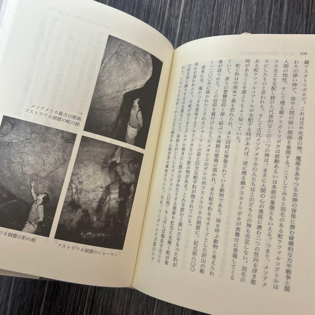 古代文化と幻覚剤 神々との饗宴　宮西照夫、清水義治