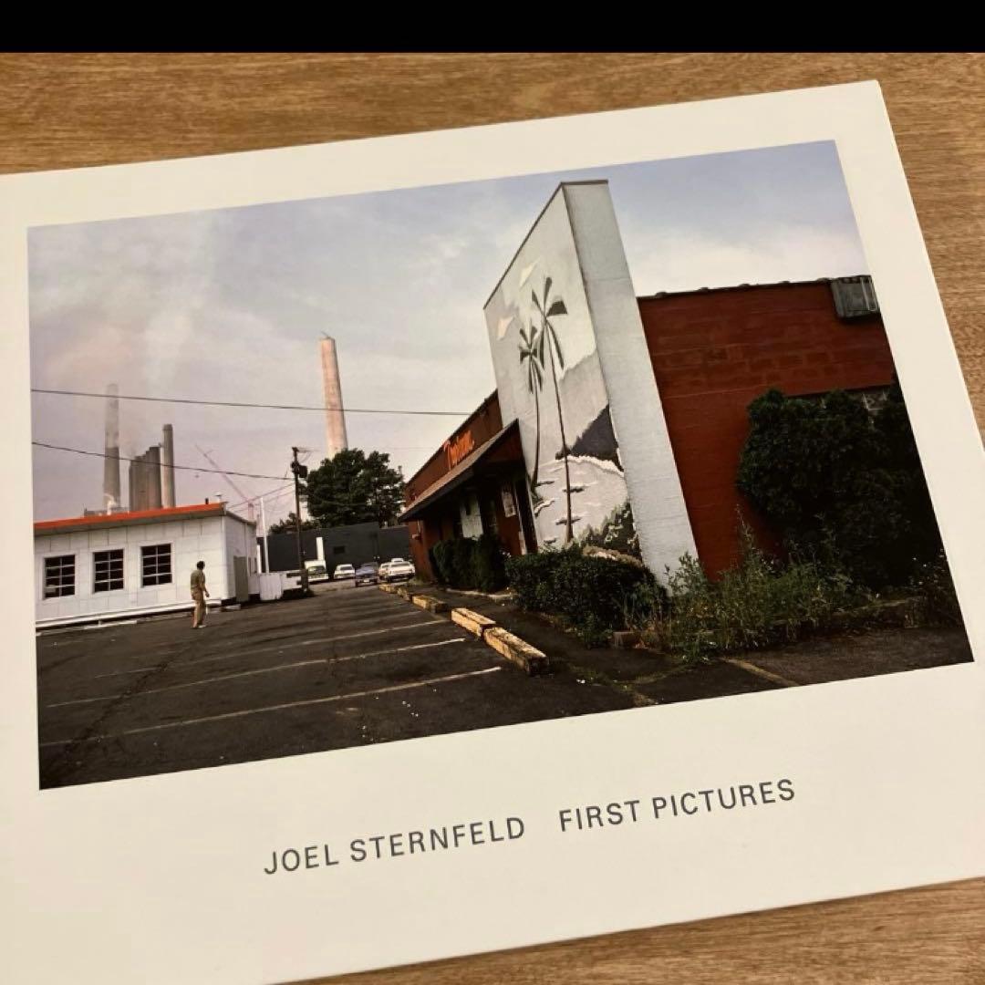 アート・デザイン・音楽 Joel Sternfeld: First Pictures