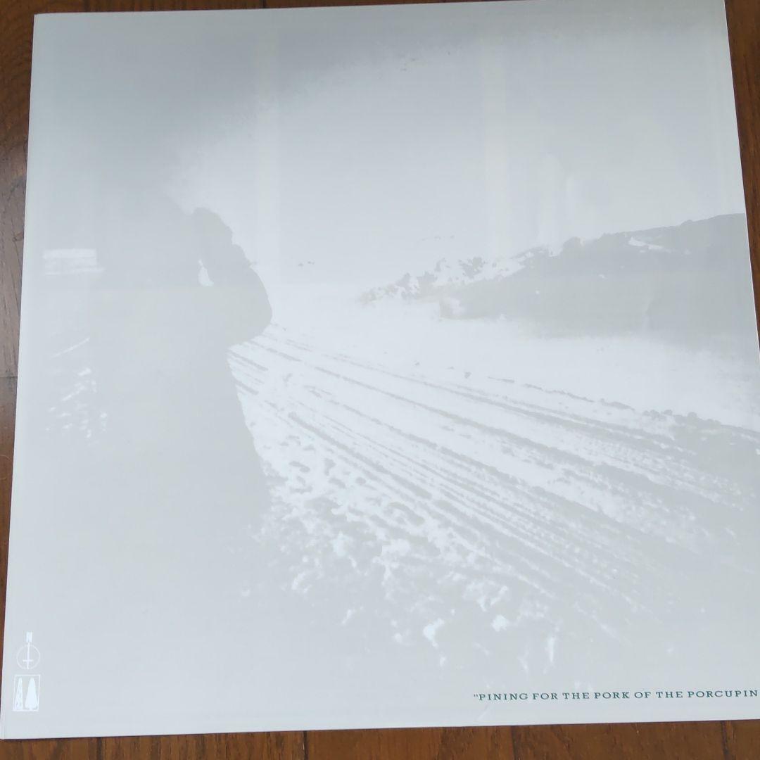 レコード ECHO & THE BUNNYMEN PORCUPINE