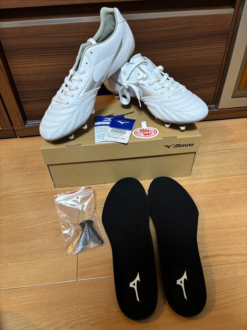 Mizuno ワイタンギＰＳ　28,5cm