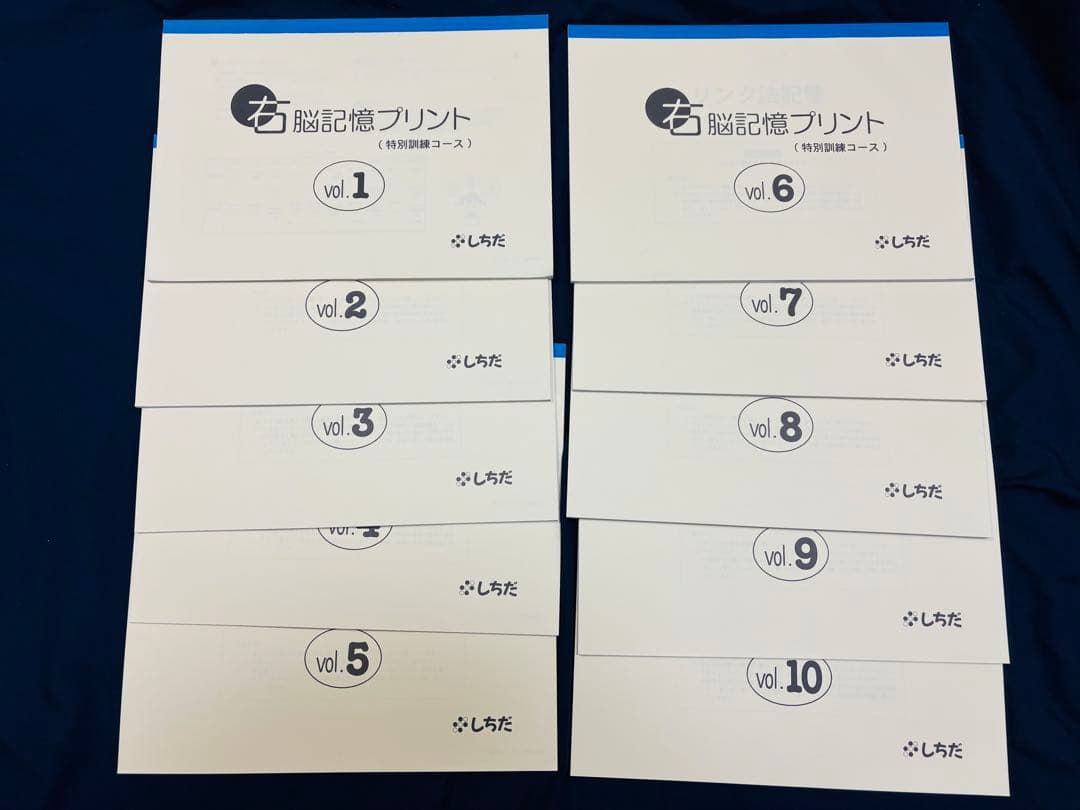 七田式 小学生プリント 右脳1 未記入 しちだ式