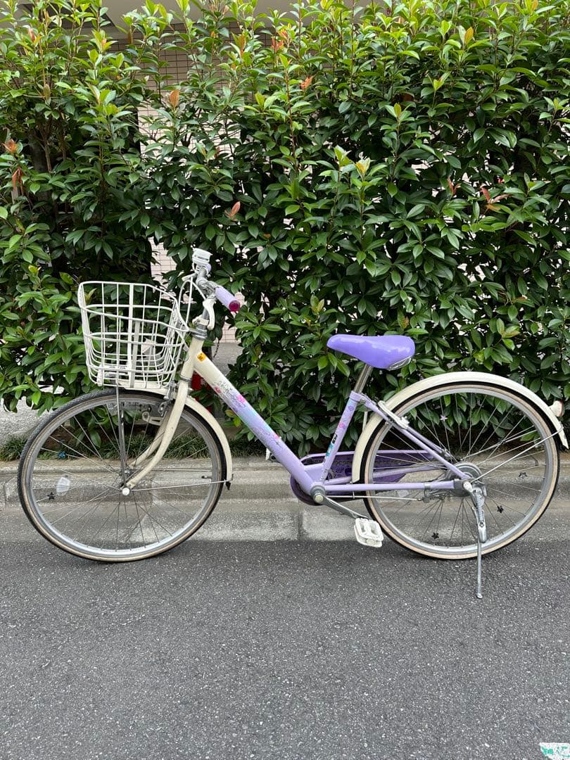 子供用自転車 紫色 (かぼちゃの馬車&花)前カゴ付き24インチ