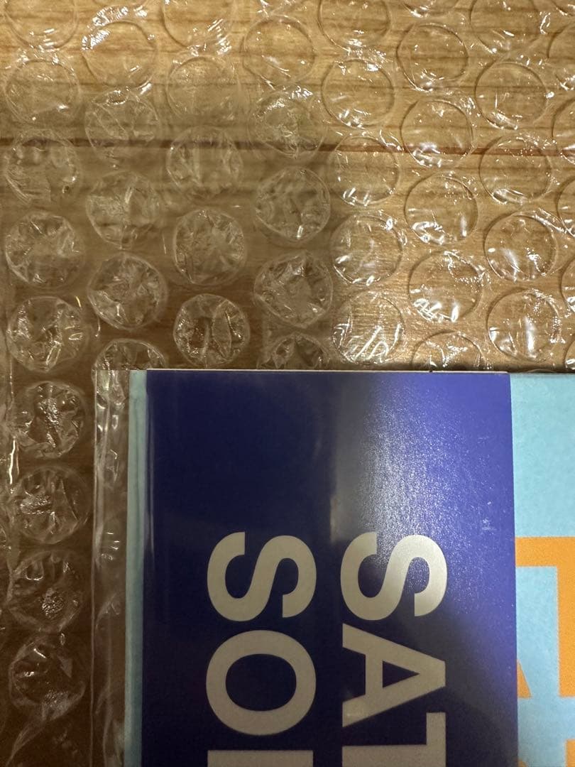 SATELLITE LOVERS SONS OF 1973 Vinyl カラー盤