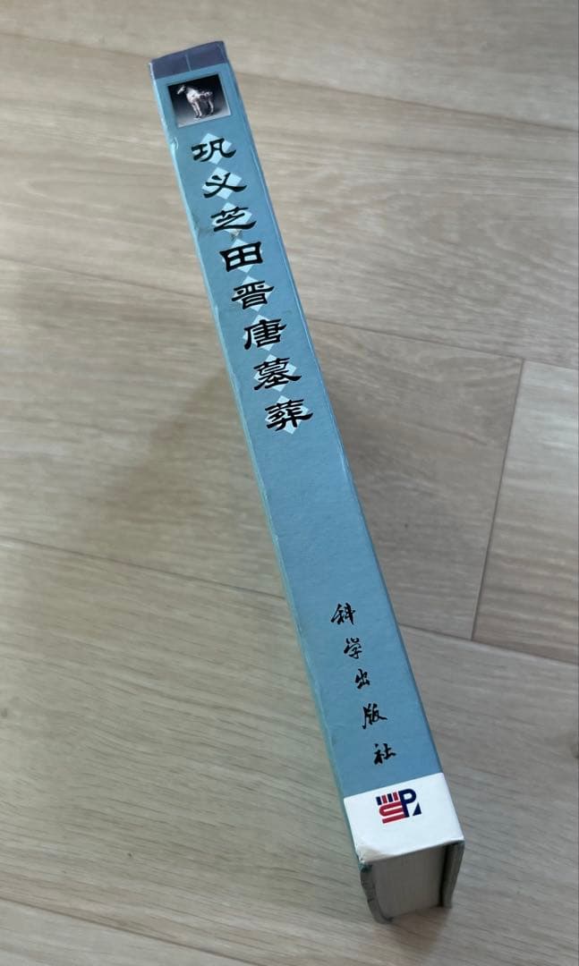 『鞏義芝田晋唐墓葬』鄭州市文物考古研究所編