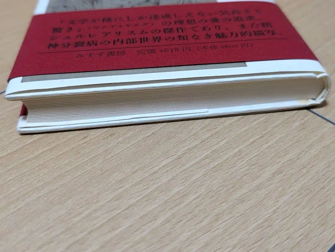 ジャスミンおとこ 分裂病女性の体験の記録 ウニカ・チュルン みすず書房 心理学
