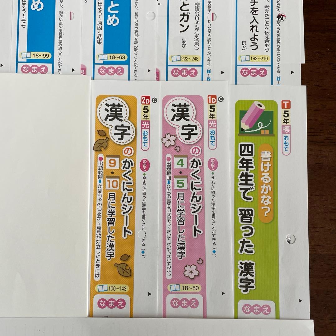 【最新版】小学5年　国語　カラーテスト　令和6年度　１年分