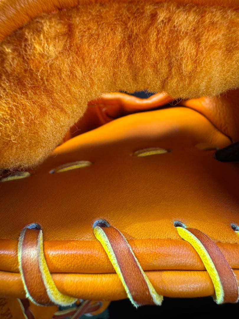 Mizuno 硬式用グローブ　テネイシャスプロエリート