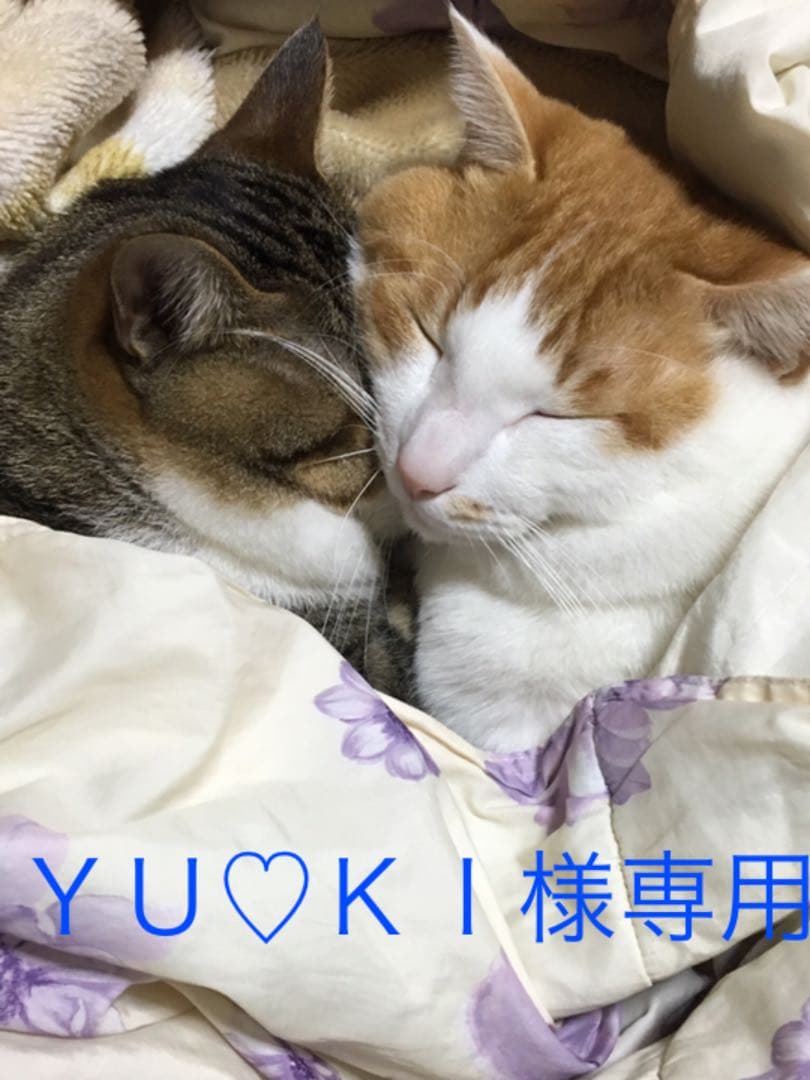 ＹＵ♡ＫＩ様ご連絡用