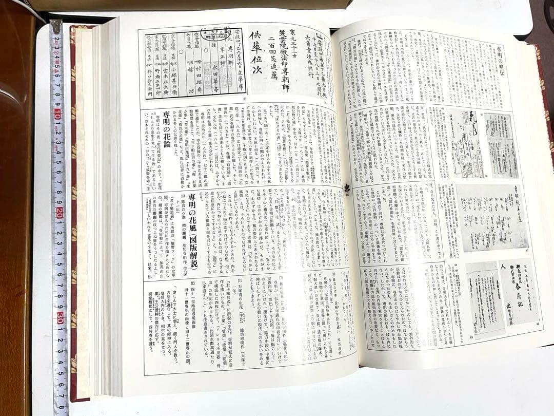 【状態良好】図録 華道 池坊歴代家元花伝 池坊専永 定価35000円 大型豪華書