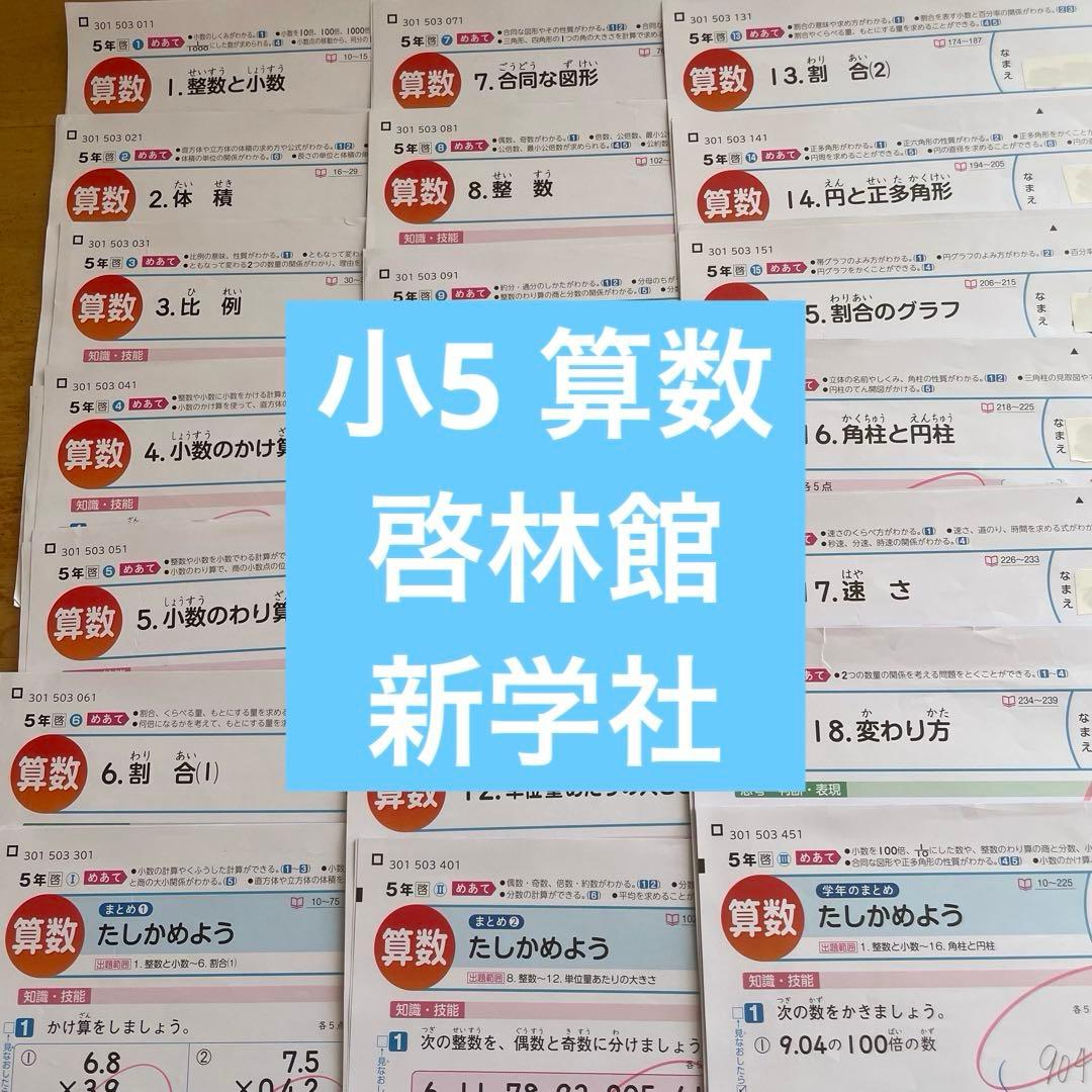 小学5年 算数 カラーテスト 令和7年度 21枚分 啓林館 新学社　最新