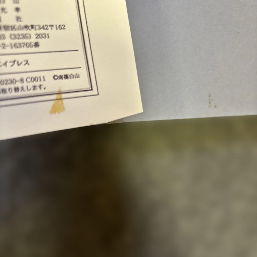 立正安国論と第六天の魔王　南條白山　泰流社