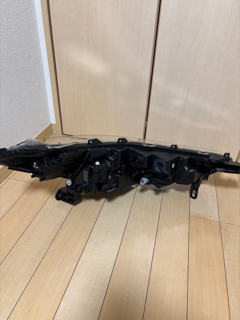 神龍
