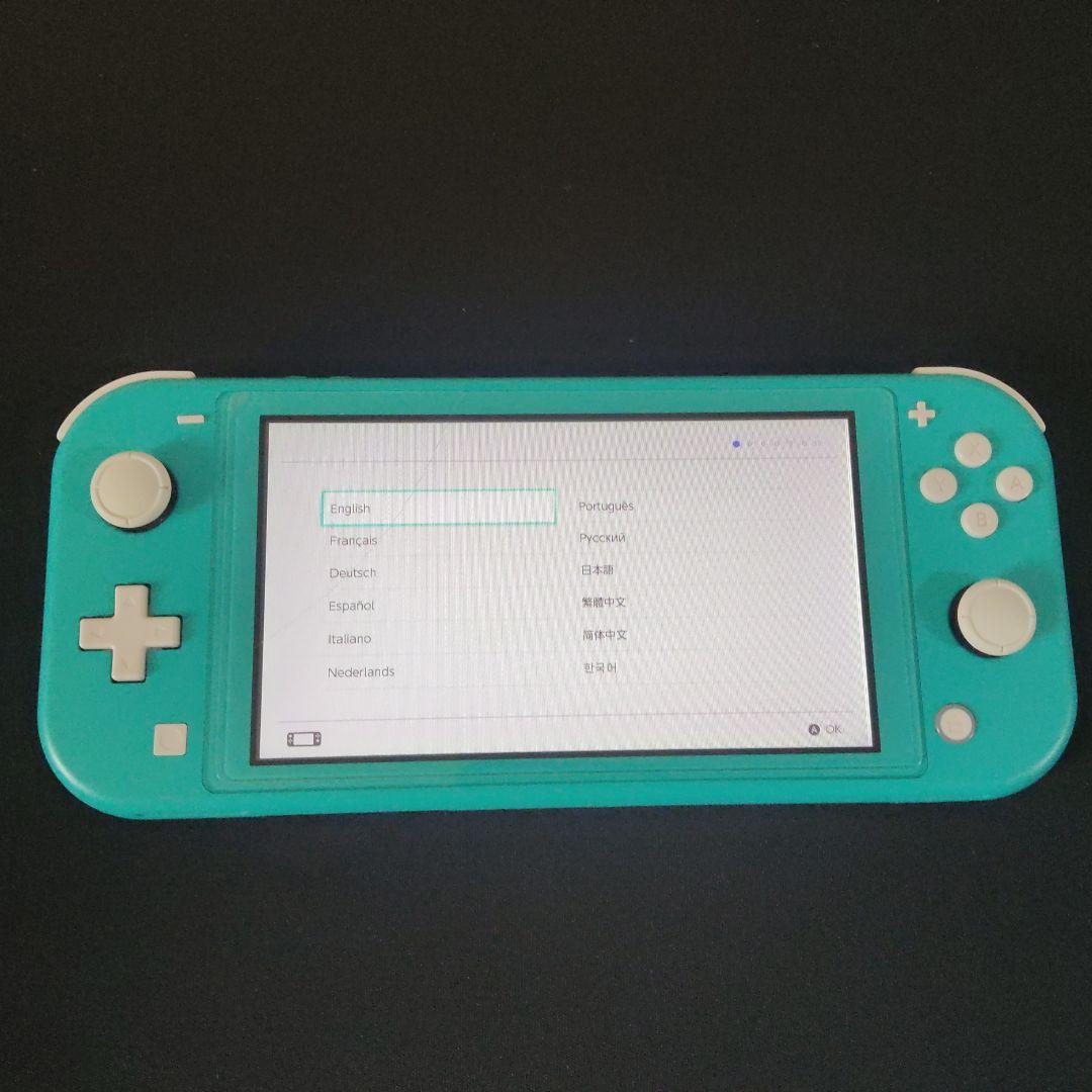 スイッチライト　シャッド様用