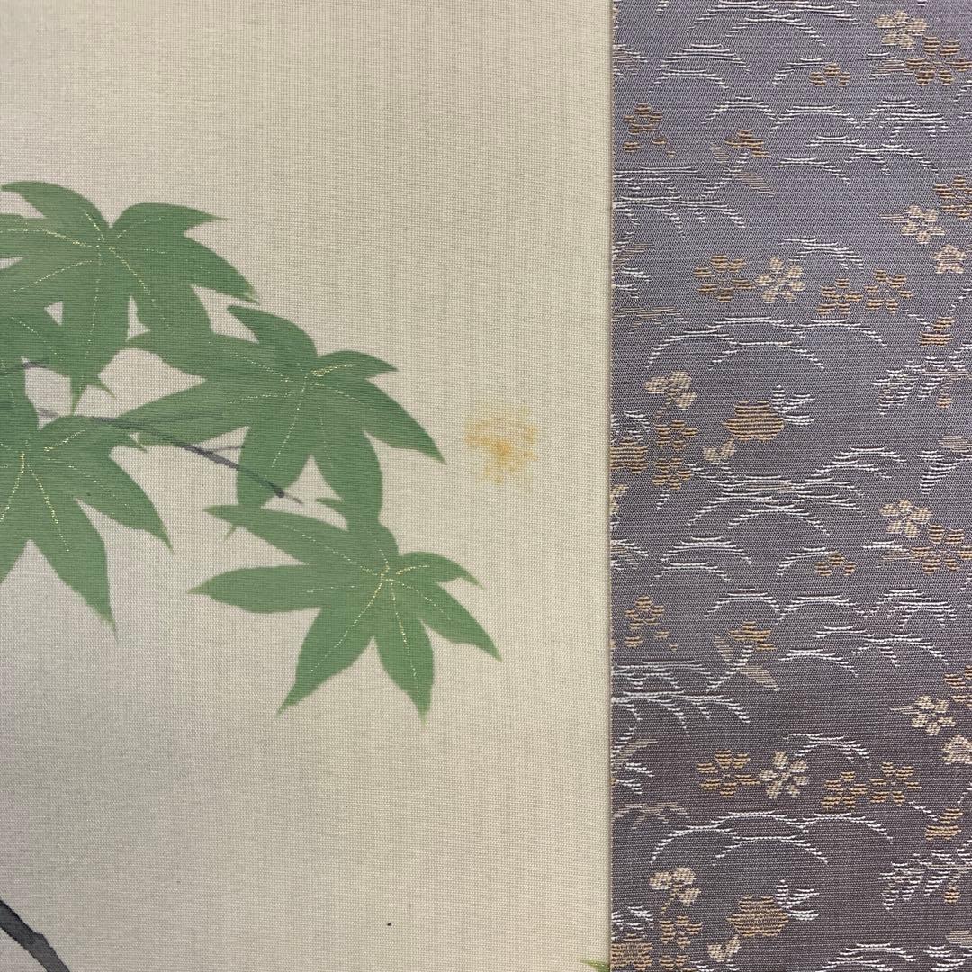 美品 掛け軸 塩田祥恒作 青楓図 共箱 花鳥