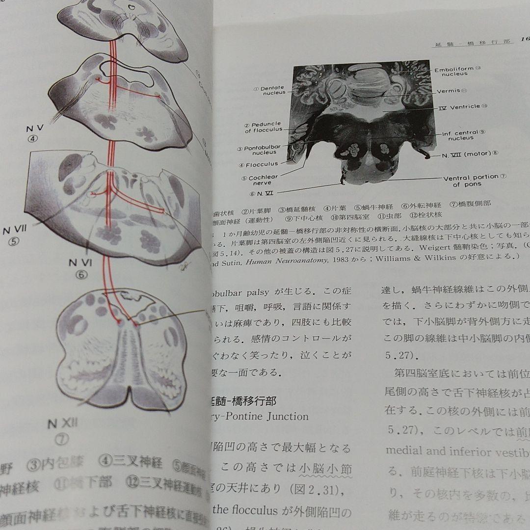 第4版 カーペンター 神経解剖学 CORE TEXT 廣川書店 医学書
