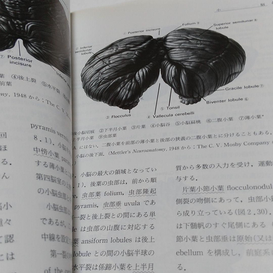 第4版 カーペンター 神経解剖学 CORE TEXT 廣川書店 医学書