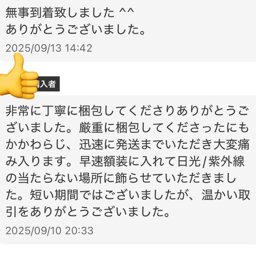 湘*風様 宮崎駿　サイン色紙　となりのトトロ　スタジオジブリ　みやざきはやお　サ