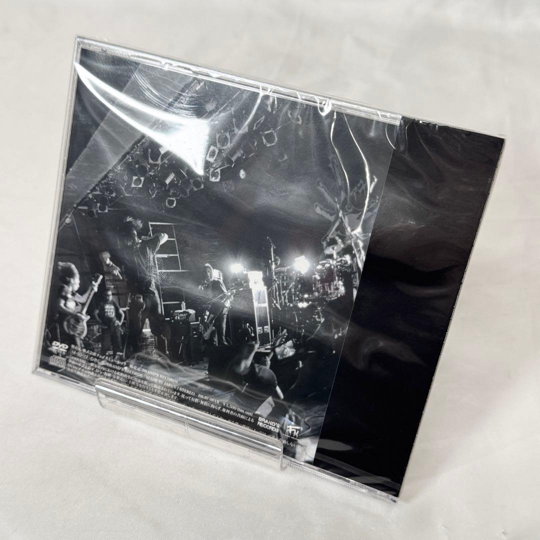 アヲイ awoi ヴィジュアル LIVE DVD アルバム シングル