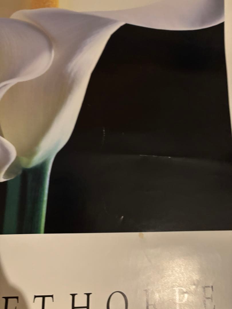 実物　MAPPLETHORPE アートポスター　1998 ユリ