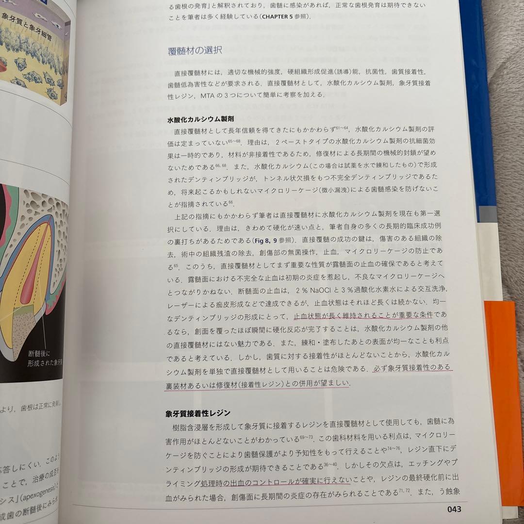 外傷歯の診断と治療