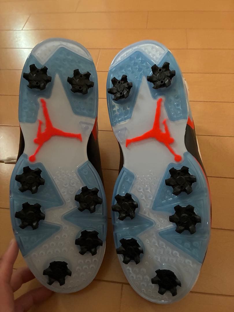 Nike Air Jordan 6 ゴルフシューズ US8.5