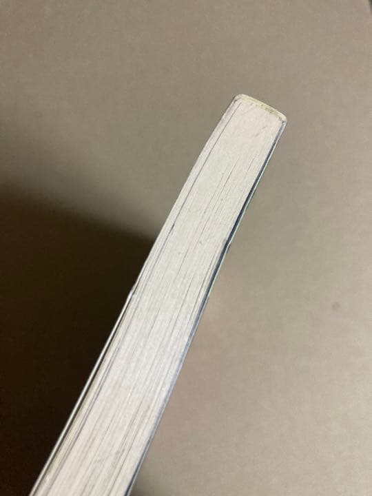 超攻略本 ゲームの歩き方 BOOKS DX オウバードフォースアフター