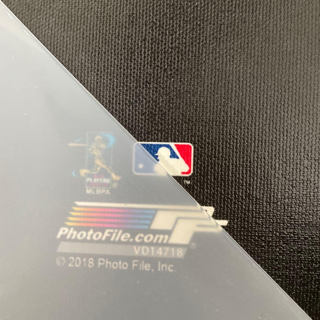 【最終お値下げ】大谷翔平☆フォトキャンパス 2018 日本未発売 超貴重！
