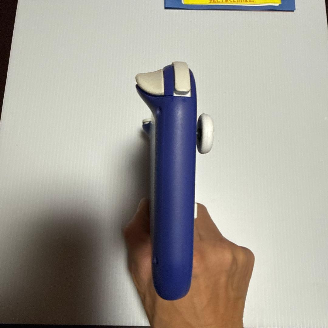 Nintendo Switch Lite パープル 本体ケース付き