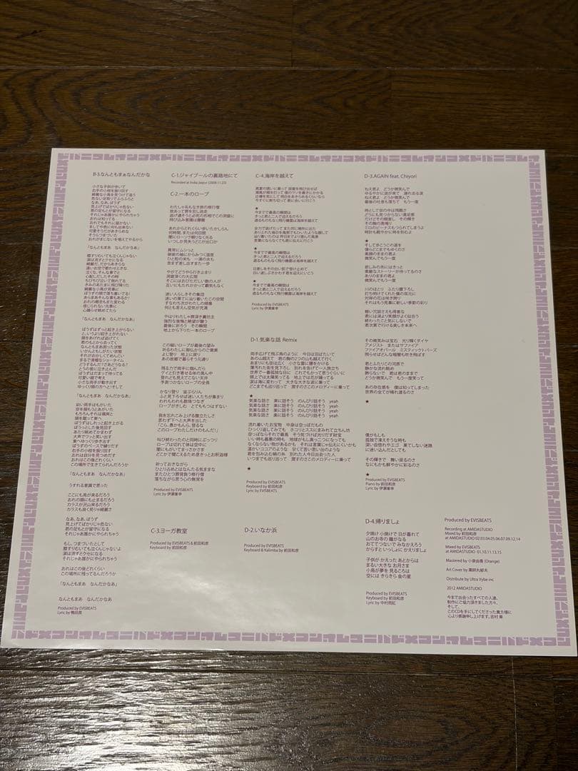 EVISBEATS ひとつになるとき オリジナル盤 LP 田我流
