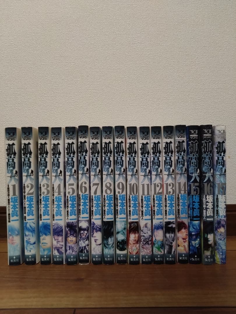 孤高の人 全巻セット 1-17巻